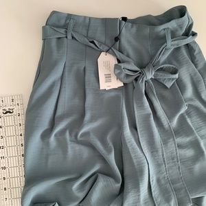Wide Leg Robin's Egg Blue Pant